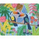 My Scratch Art Cards - Jungle - AUZOU