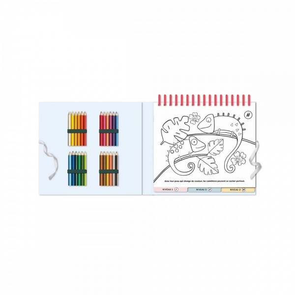 My Creative Notebooks - 50 Animal Scenes to Colour - AUZOU
