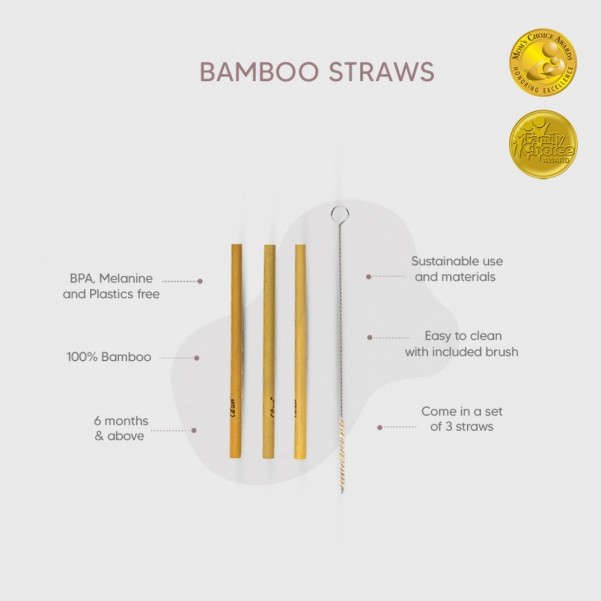 Bamboo Straws Set of 3- Citron
