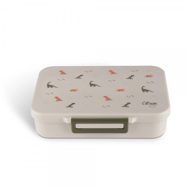 Tritan Lunchbox - Dino