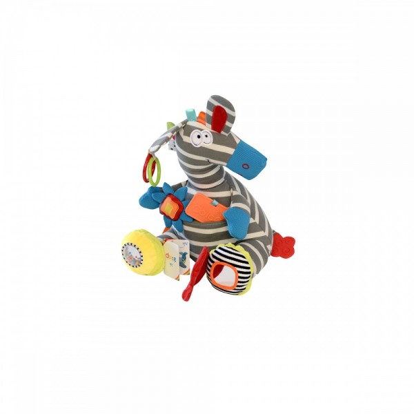  Activity Zebra - Dolce