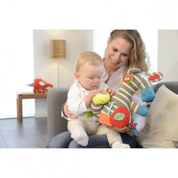  Activity Zebra - Dolce