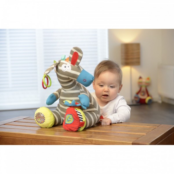  Activity Zebra - Dolce