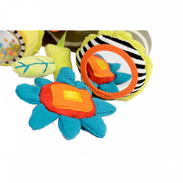  Activity Zebra - Dolce