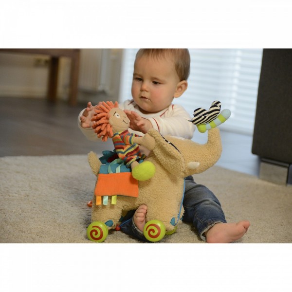  Activity Zebra - Dolce