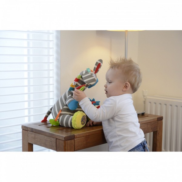  Activity Zebra - Dolce