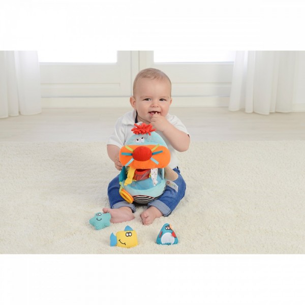 Walrus Sorter - Dolce