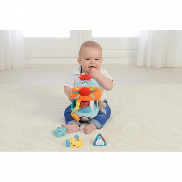 Walrus Sorter - Dolce