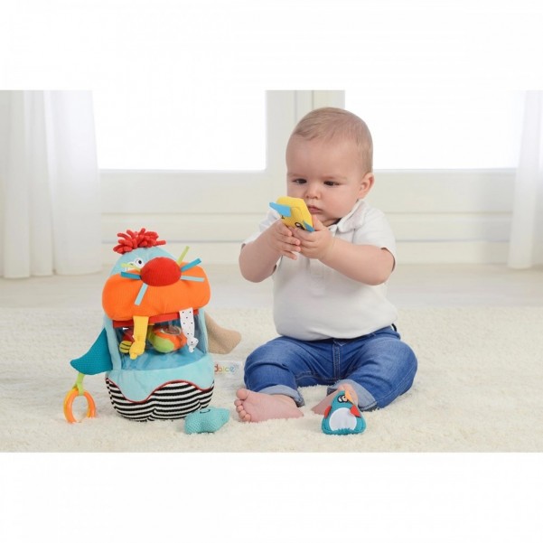 Walrus Sorter - Dolce