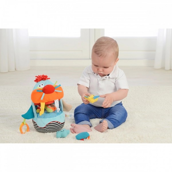 Walrus Sorter - Dolce