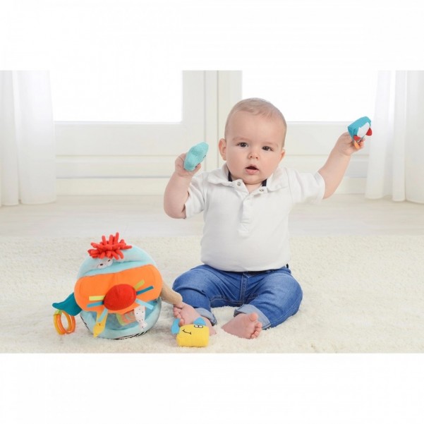 Walrus Sorter - Dolce