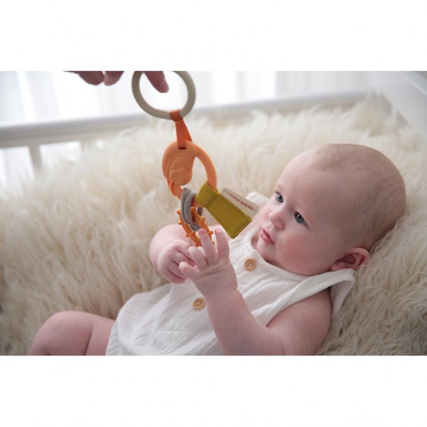 Laura the Snail and Earth Activity Teether - Dolce