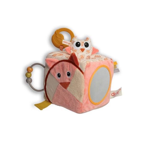  Earth Activity Cube - Dolce