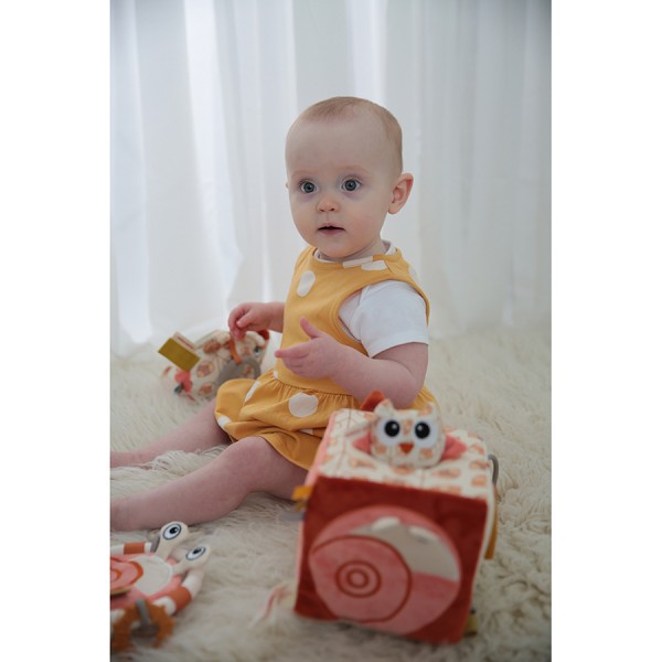  Earth Activity Cube - Dolce
