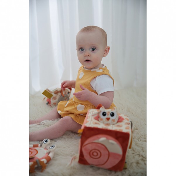  Earth Activity Cube - Dolce