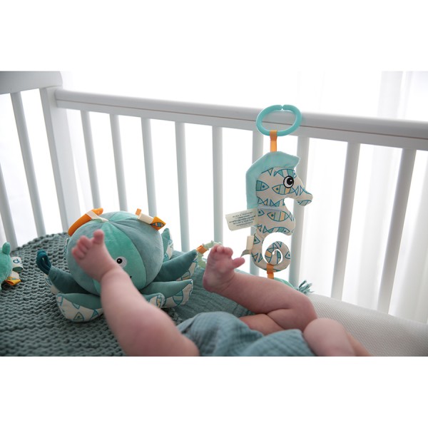 Sammy The Seahorse - Dolce