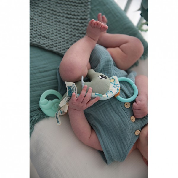 Sammy The Seahorse - Dolce