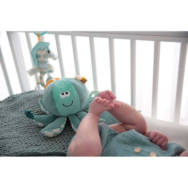 Octo the Octopus - Dolce