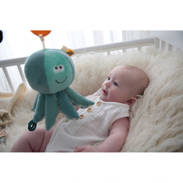 Octo the Octopus - Dolce