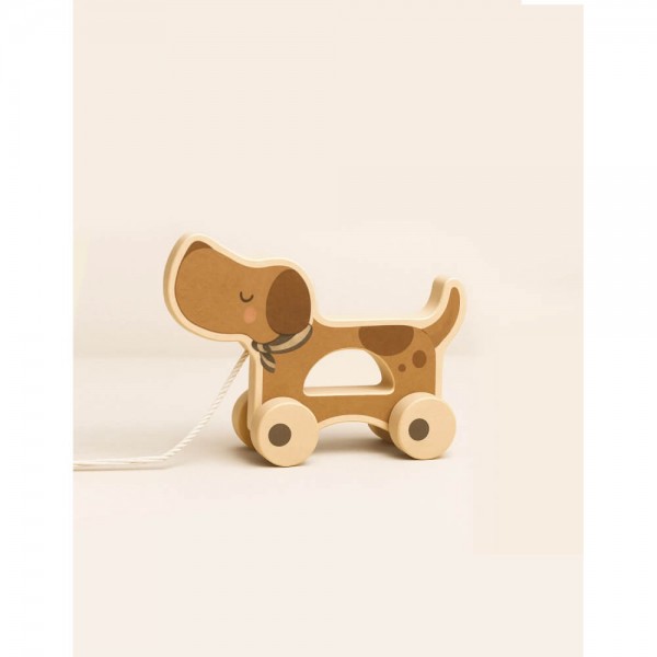 Εκπαιδευτικό Ξύλινο Pull Toy - Poppy - Mrs Ertha