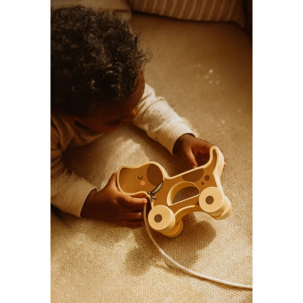 Εκπαιδευτικό Ξύλινο Pull Toy - Poppy - Mrs Ertha