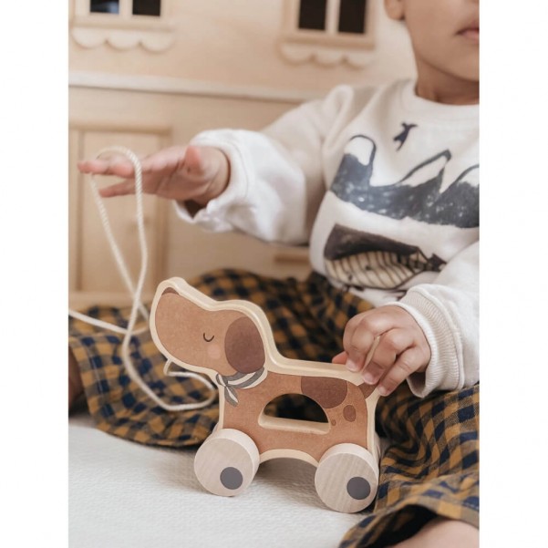 Εκπαιδευτικό Ξύλινο Pull Toy - Poppy - Mrs Ertha