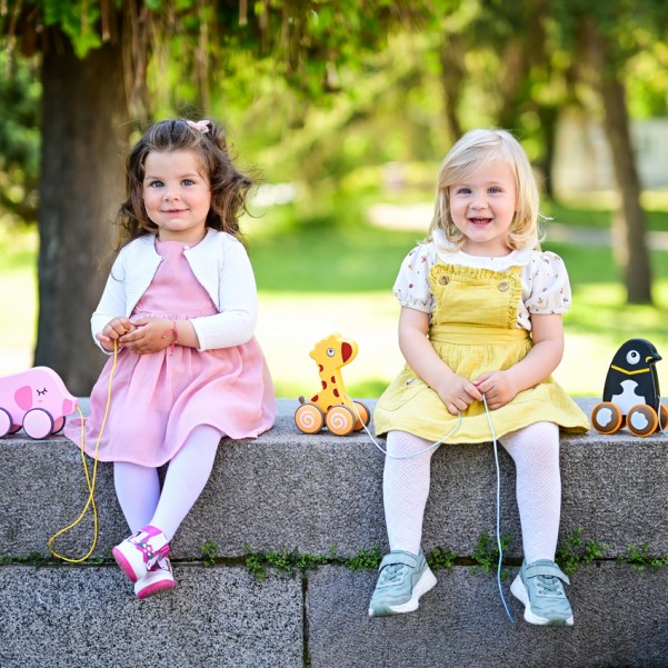 Pull-Along Toy - Elephant - Lorelli