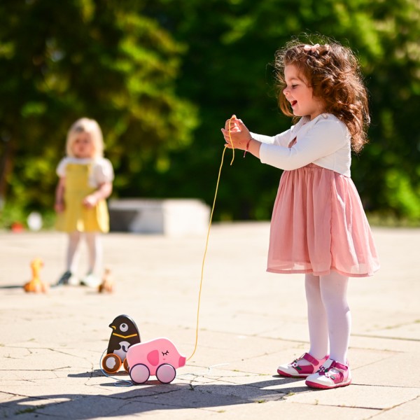 Pull-Along Toy - Piggy - Lorelli