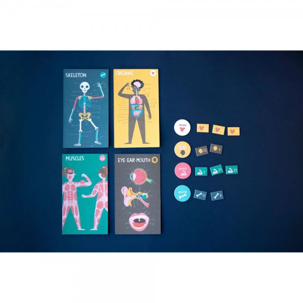 Inside Me - Human Body Game - Londji