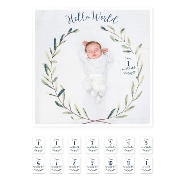 Lulujo- Mουσελίνα Φωτογράφισης + Κάρτες – Hello World