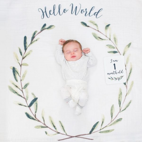 Lulujo- Mουσελίνα Φωτογράφισης + Κάρτες – Hello World