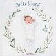Lulujo- Mουσελίνα Φωτογράφισης + Κάρτες – Hello World