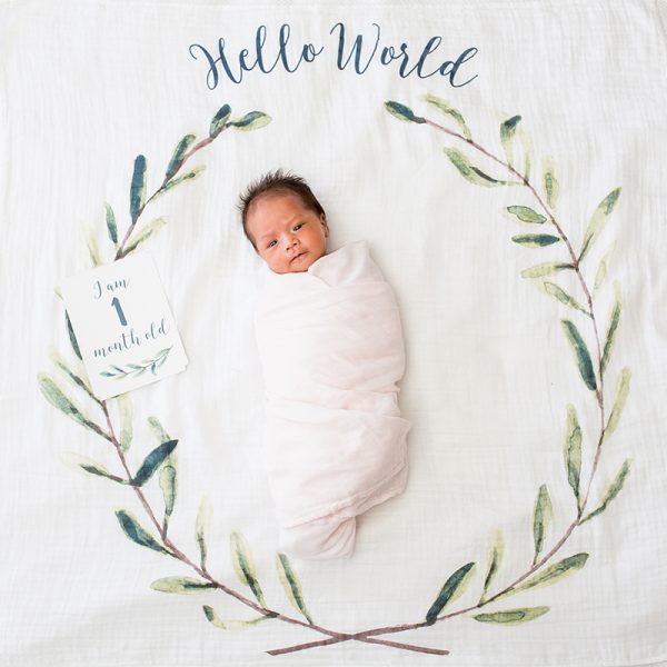 Lulujo- Mουσελίνα Φωτογράφισης + Κάρτες – Hello World