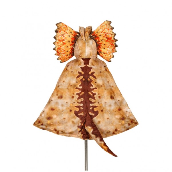 Cape - Dilophosaurus - Souza (4-7 years, 104-122 cm)